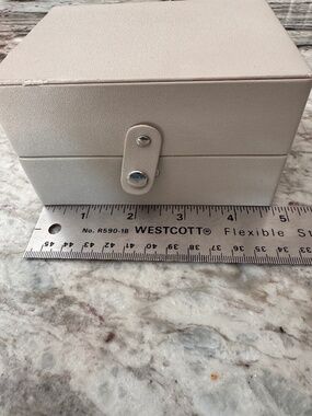 Container Store Travel Jewelry Case